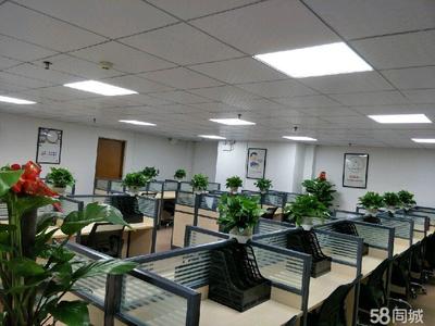 茂名市天弘商務信息咨詢 專業信息服務助力企業發展